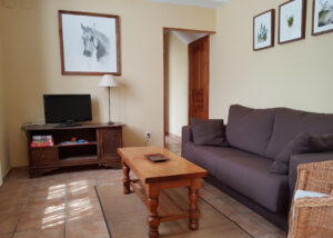 Salón apartamento 3 de los Apartamentos Rurales la Escuela